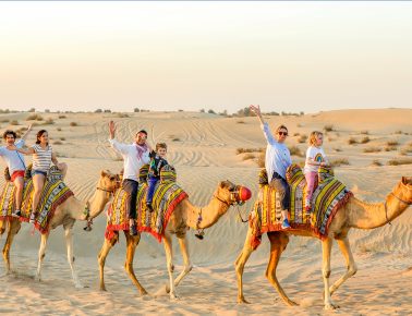 Rajasthan Desert